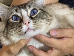 -白兔子密室(长寿路店)