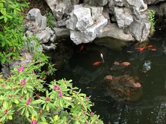 -上海醉白池公园