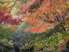 -中国茶叶博物馆(双峰馆区)