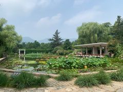 -国家植物园南园