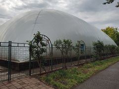 -丰台科技园生态主题公园