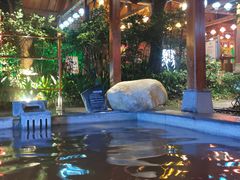 -天目湖御水温泉·度假酒店