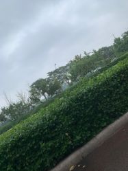-HEYAN长风荷妍专业脱毛美肤
