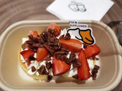 -狐狸和向日葵(北京路店)