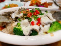 川椒海鲈鱼-富黎华海鲜大酒楼(正大广场店)