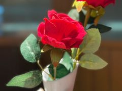 -一沙一城·岩烤牛扒·拔草餐厅(虎门万达店)