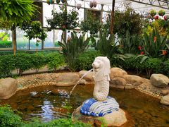 -南宫五洲植物乐园