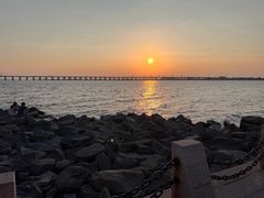 -宝安西湾红树林湿地公园