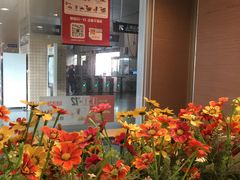 -麦当劳(轻轨曹杨路店)
