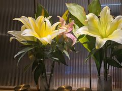 -鑫小城故事·藕汤·家常菜(台北一路总店)