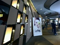 -万达影城(汉街万达广场IMAX店)