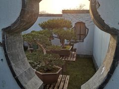 -扬州大运河文化旅游度假区·盆景园