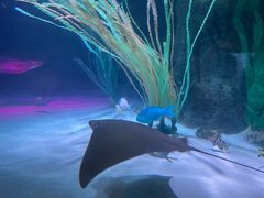 -沈阳海洋探索中心