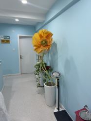 -斐尔国际皮肤管理中心