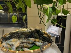 -川骄海鲜自助(亚运村店)