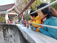 -太子山公园(园东路)