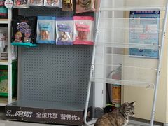 -创凡宠物医院·骨专科  猫科中心(西乡分院)