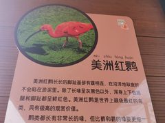 -武汉动物园