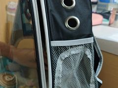 -宠颐生猫科·内科皮肤科(西平世纪城店)