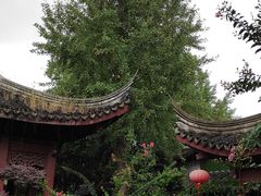 -檀园