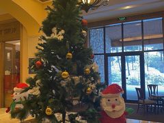 -长白山万达喜来登度假酒店