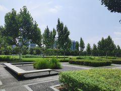 -上海山野camping·户外天幕烧烤·团建拓展营地