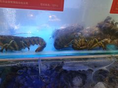 -四海蒸鲜蒸汽海鲜自助(北戴河店)