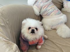 -怪兽屋·羊驼·猫咖·狗咖(俊华广场店)