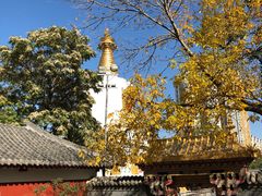 -护国法轮寺