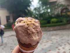 -美的鹭湖森林度假区