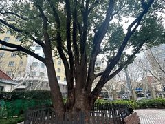 -徐家汇源景区-衡山公园