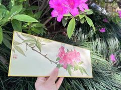 -八哥美术·成人美术画室(总校区)