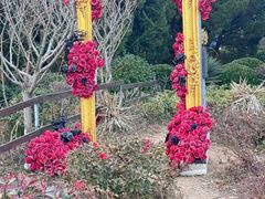 -燕儿岛山公园
