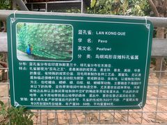 -长廊欢乐园