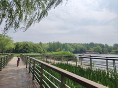 -郑州植物园