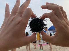 -西涌国际滨海旅游区