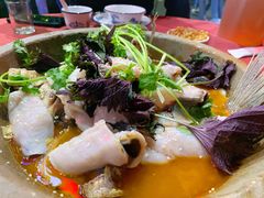 -重庆火锅水库鱼庄(南油店)