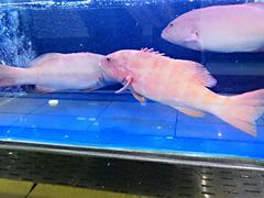 -果蔬好生活超市(东湖店)