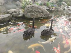 -罗红摄影艺术馆