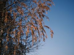 -尚贤河湿地
