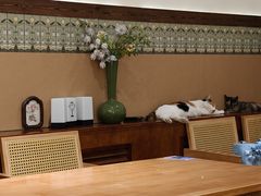 -大象厨房(重庆道店)