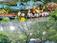 -西溪国家湿地公园