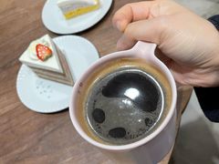 -猫里有甜