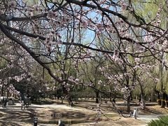 -元大都城垣遗址公园