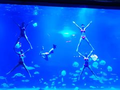 -烟台海昌鲸鲨海洋公园