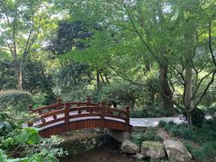 -中国茶叶博物馆(双峰馆区)