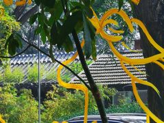 -五进制 Coffee Shop