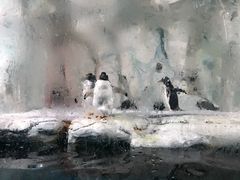 -南昌海洋公园