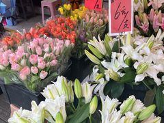 -循礼门鲜花花市(武汉循礼门店)