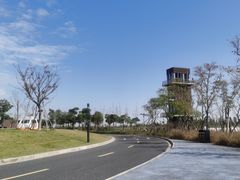 -春花秋色城市公园